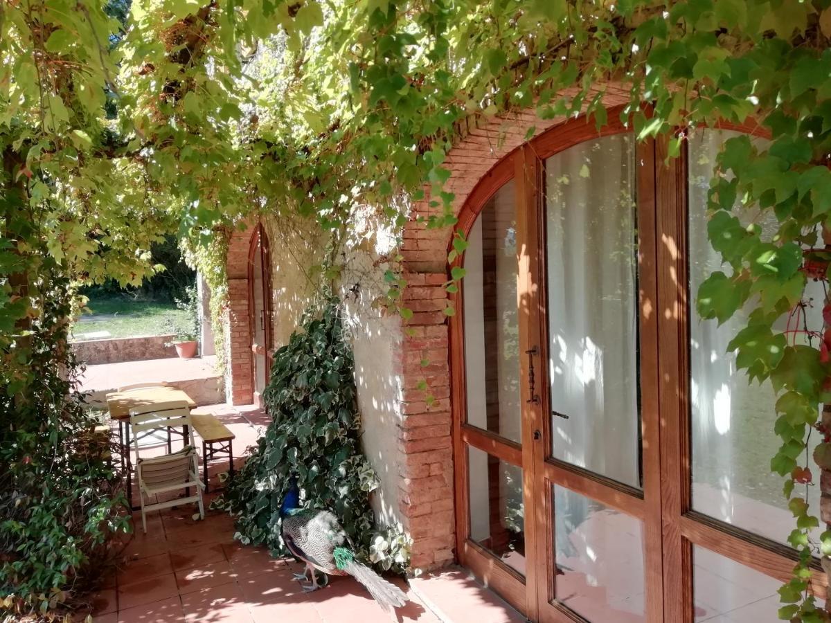 Podere Poggio Corbo Chiusdino Eksteriør billede