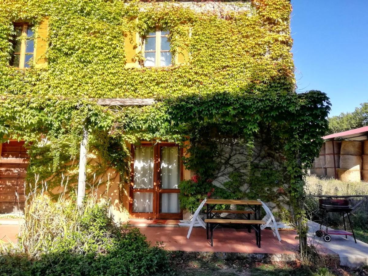 Podere Poggio Corbo Chiusdino Eksteriør billede